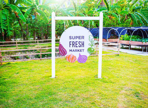 cnc machine 1 ماكينة سي ان سي 1