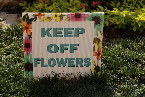 cnc machine 2 ماكينة سي ان سي 2